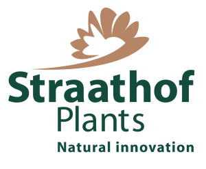 Straathof_Plants_logo+slogan